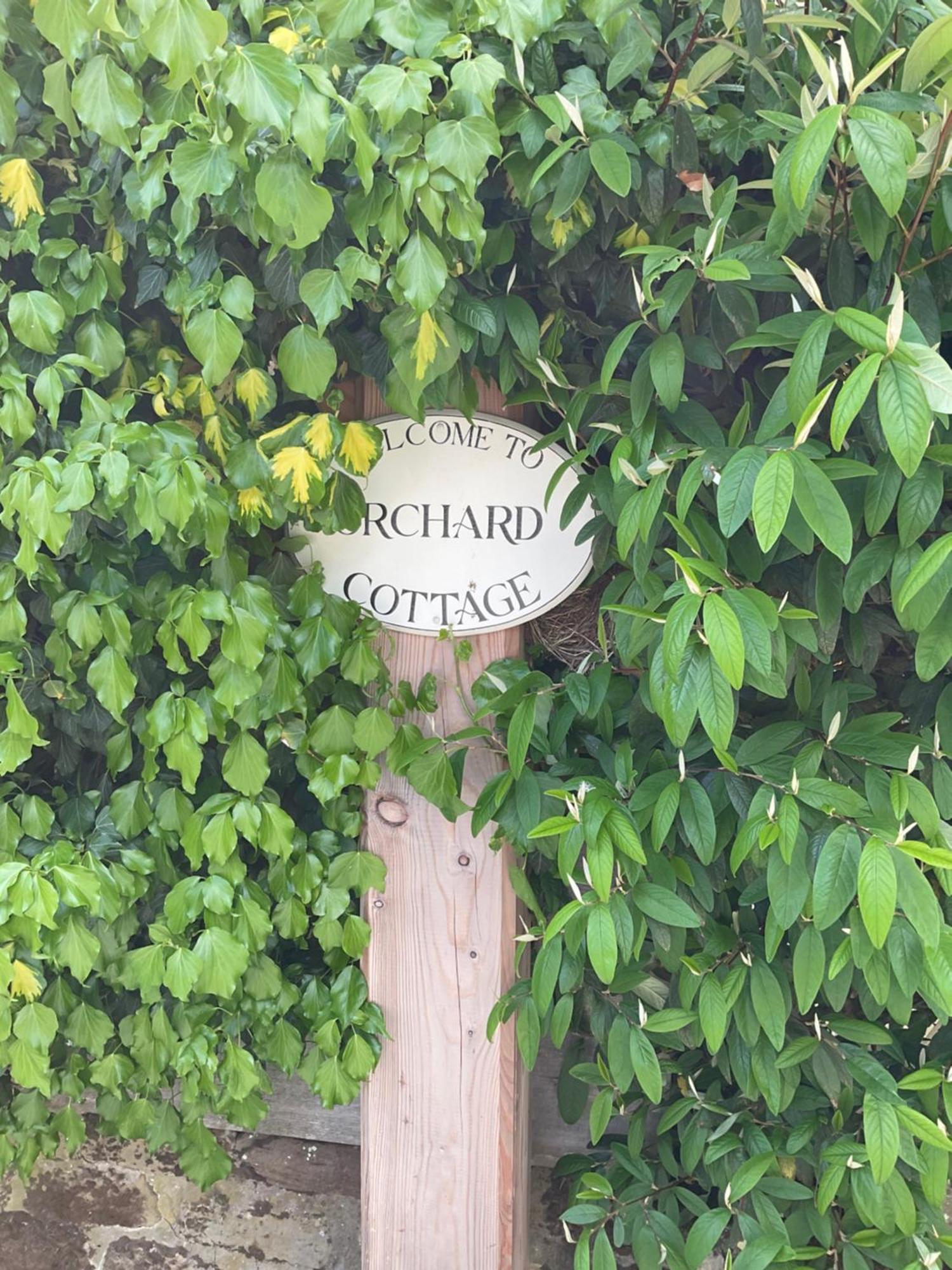 הוילה Rosedale Abbey Orchard House מראה חיצוני תמונה